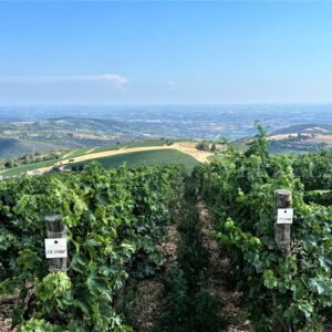 Cà del Moro Wine Retreat, enogastronomia e charme per una vacanza sui colli di Verona