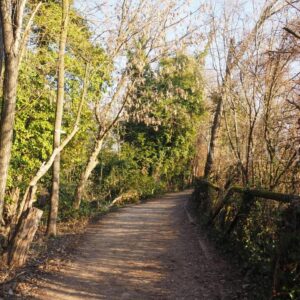 Il cimitero dei Burci a Treviso in Veneto