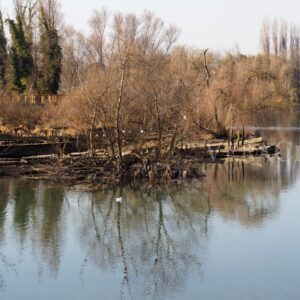 Il cimitero dei Burci a Treviso in Veneto