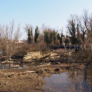 Il cimitero dei Burci a Treviso in Veneto