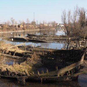 Il cimitero dei Burci a Treviso in Veneto