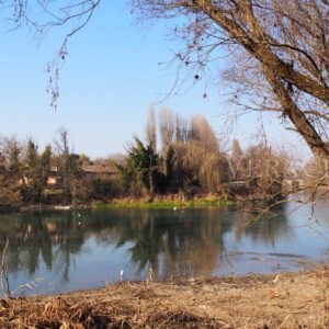 Il cimitero dei Burci a Treviso in Veneto