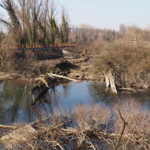 Il cimitero dei Burci a Treviso in Veneto