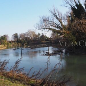 Il cimitero dei Burci a Treviso in Veneto