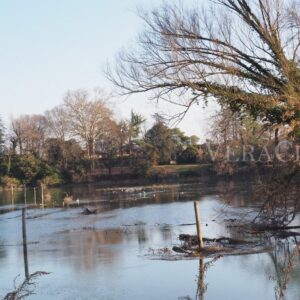 Il cimitero dei Burci a Treviso in Veneto