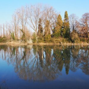 Il cimitero dei Burci a Treviso in Veneto