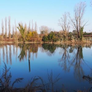 Il cimitero dei Burci a Treviso in Veneto