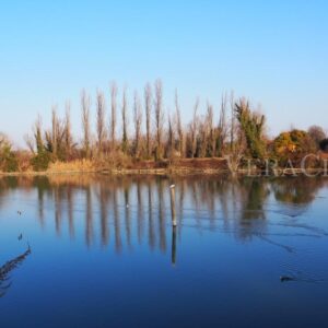 Il cimitero dei Burci a Treviso in Veneto