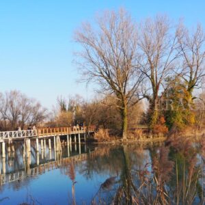 Il cimitero dei Burci a Treviso in Veneto