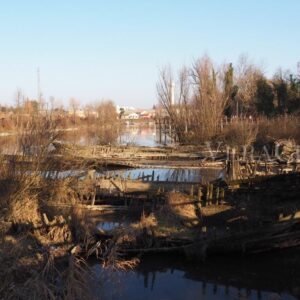 Il cimitero dei Burci a Treviso in Veneto