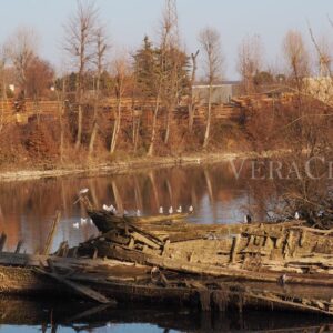 Il cimitero dei Burci a Treviso in Veneto