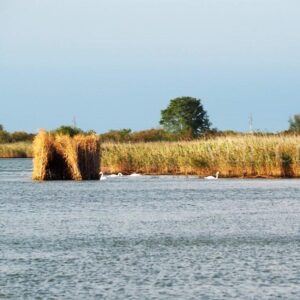 Caorle, la laguna ed i suoi casoni: itinerario tra natura e tradizione