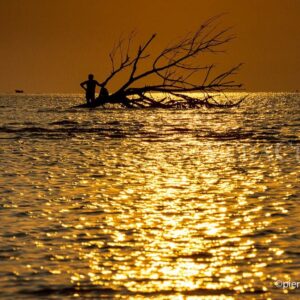 Caorle, la laguna ed i suoi casoni: itinerario tra natura e tradizione