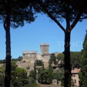 Il borgo di Populonia e la necropoli etrusca di Baratti