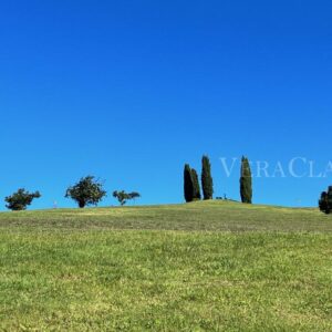 La Strada delle Terme in Emilia Romagna, itinerario tra natura e salute