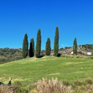 La Strada delle Terme in Emilia Romagna, itinerario tra natura e salute