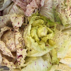 Il Radicchio Rosso di Treviso, come nasce e dove si trova