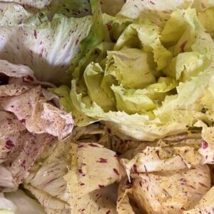 Tortello di radicchio variegato di Castelfranco igp