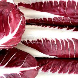 Il Radicchio Rosso di Treviso, come nasce e dove si trova