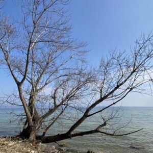 Sirmione e le terme, una vacanza benessere al Lago di Garda