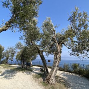 Sirmione e le terme, una vacanza benessere al Lago di Garda