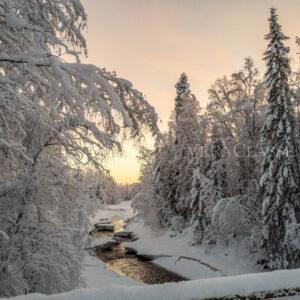 I luoghi più belli dove vedere l’aurora boreale: la Lapponia svedese