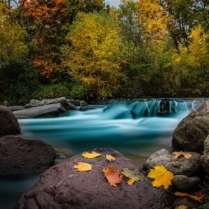 TERME TRENTINO ALTOADIGE