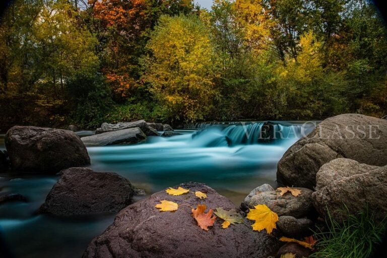 TERME TRENTINO ALTOADIGE