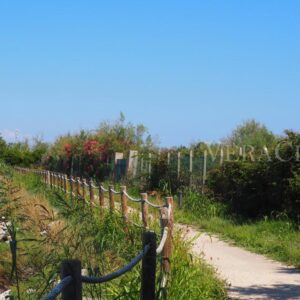 Pellestrina, cosa vedere e come arrivare