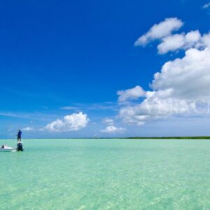 Le Isole Vergini Britanniche, una vacanza ai Caraibi