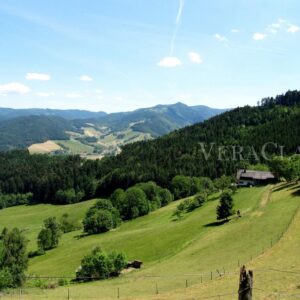 I migliori golf club del Trentino e dell’Alto Adige