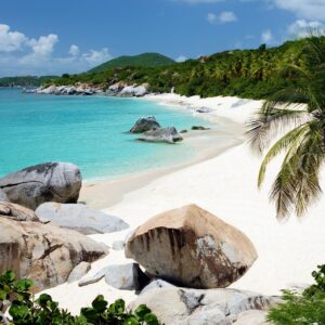 white sand beach and boulders and palm tree in Virgin Gorda, British Virgin Islands