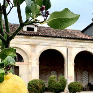 Villa Molin, la villa veneta alle porte di Padova opera di Scamozzi