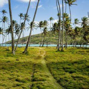 Bequia Island in Saint Vincent and the Grenadines