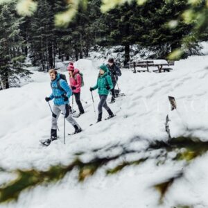 Primiero San Martino di Castrozza, una vacanza d’inverno