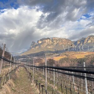 La vacanza al maso, un’esperienza autentica in Alto Adige