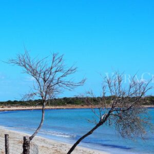 Vendìcari, la riserva la spiaggia e la tonnara in Sicilia