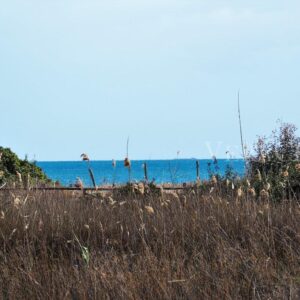 Vendìcari, la riserva la spiaggia e la tonnara in Sicilia