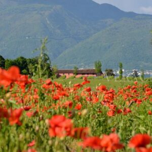 Da Vittorio Veneto a Cordignano, itinerario nelle Prealpi Trevigiane