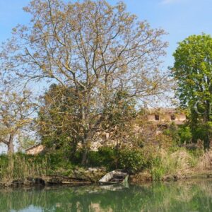 Navigare in Veneto lungo le antiche vie d’acqua, tra natura e storia