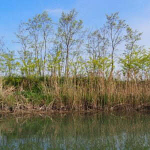 Navigare in Veneto lungo le antiche vie d’acqua, tra natura e storia