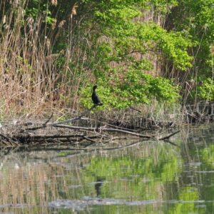 Navigare in Veneto lungo le antiche vie d’acqua, tra natura e storia