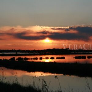 SALINE CERVIA