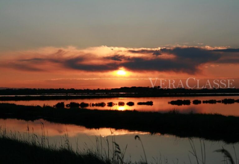 SALINE CERVIA