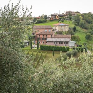 La Vigna di Sarah, la vendemmia notturna sulle colline patrimonio UNESCO