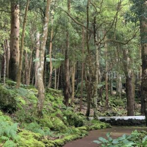 Visitare le isole Azzorre, cosa vedere e cosa fare