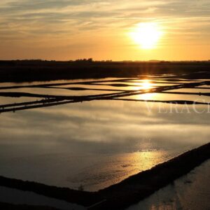 Saline Conti Vecchi in Sardegna, un’esperienza tra natura e cultura