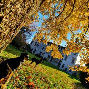 Il Mese del Foliage in Veneto: le proposte delle Dimore Storiche