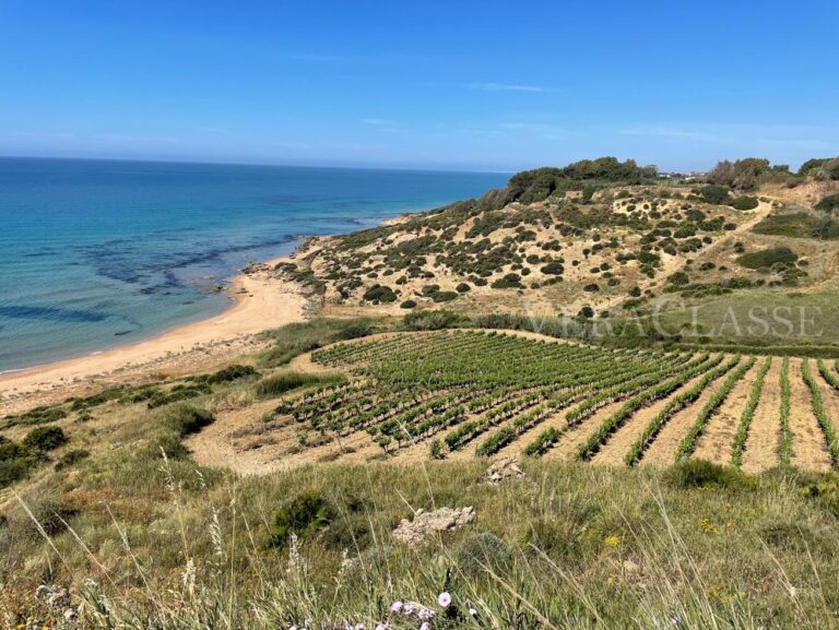 Valle del Belìce Sicilia