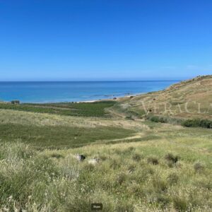 La Valle del Belìce in Sicilia e i suoi sapori